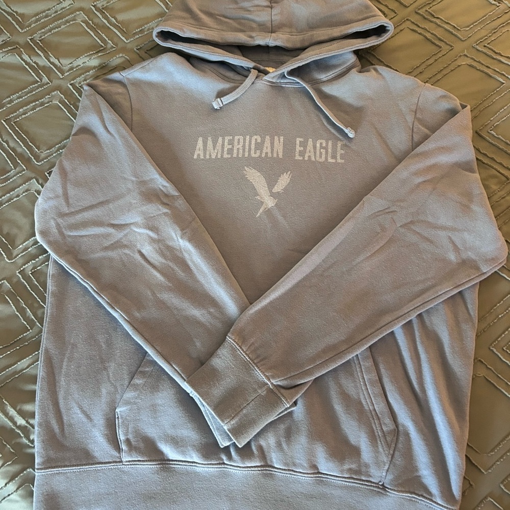 American Eagle Outfitters Men's Light Blue Hoodie